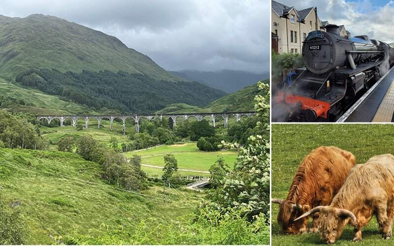 Viaduc de Glenfinnan dans une vallée verdoyante, locomotive à vapeur et vaches des Highlands