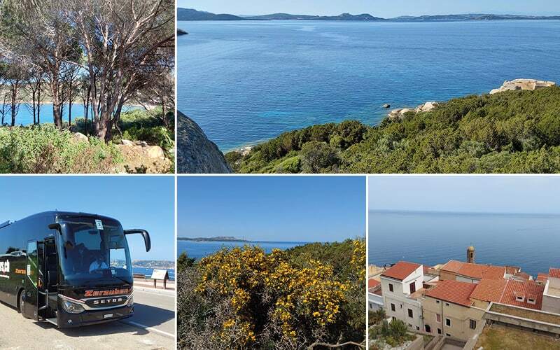 Côte boisée et mer d’un bleu profond, genêts en fleurs et vieux village dominant la mer