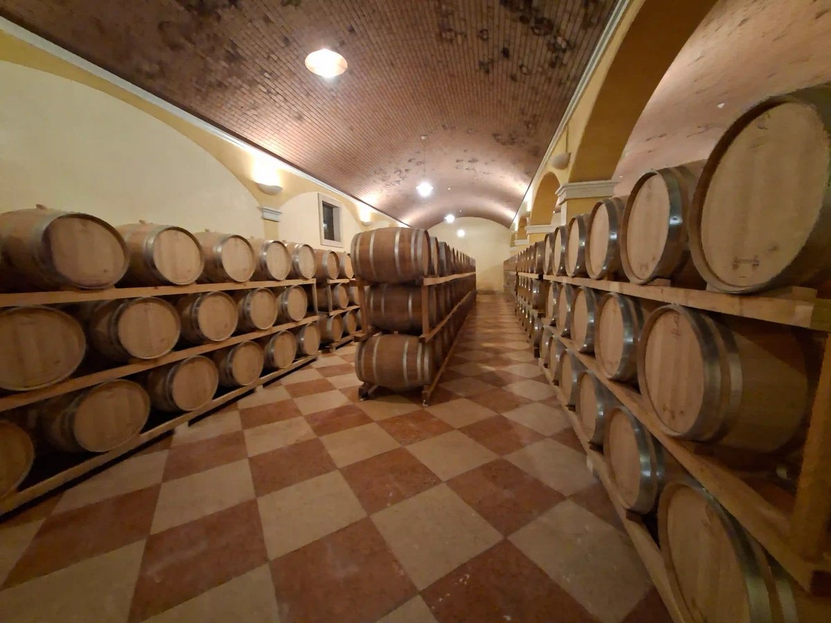 Weinkeller mit zahlreichen Holzfässern in einem italienischen Weingut.