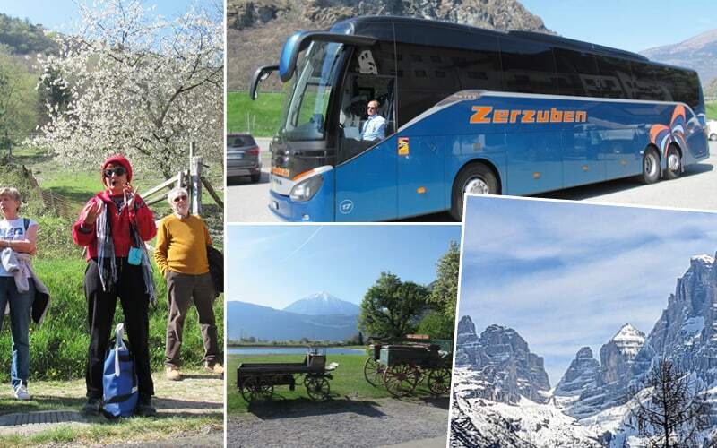 Groupe écoutant la guide sous un arbre en fleurs, vieilles charrettes et sommets dolomitiques enneigés