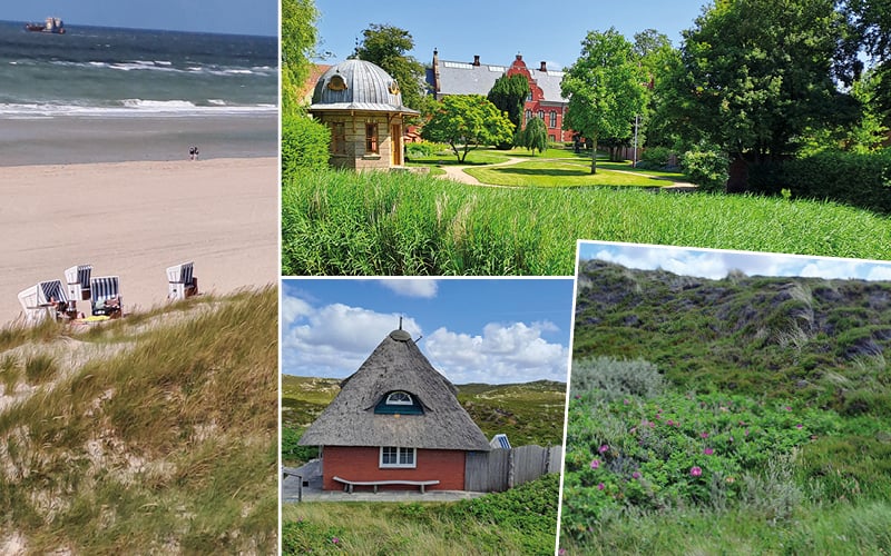 Plage avec corbeilles de plage, maison au toit de chaume et dunes couvertes de rosiers sauvages