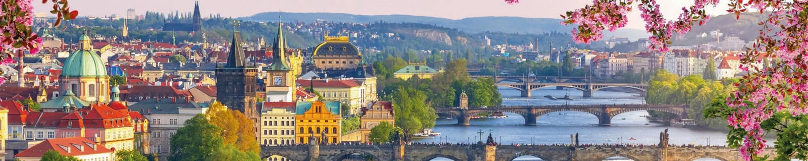 Panorama de Prague, ses toits rouges et ses ponts sur la Vltava entre des branches fleuries