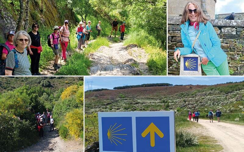 Randonneurs sur un sentier verdoyant, borne à coquille jaune et panneau du chemin de Saint-Jacques