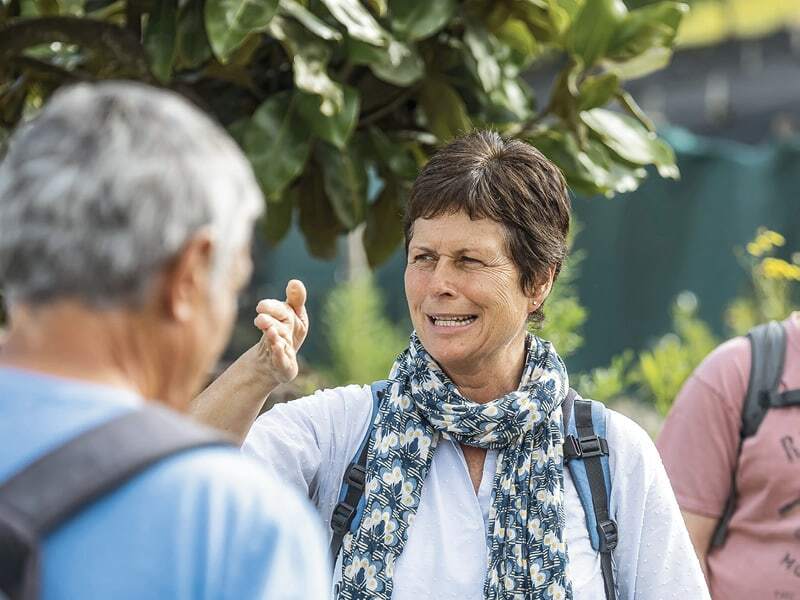 Die perfekten Begleiter unterwegs