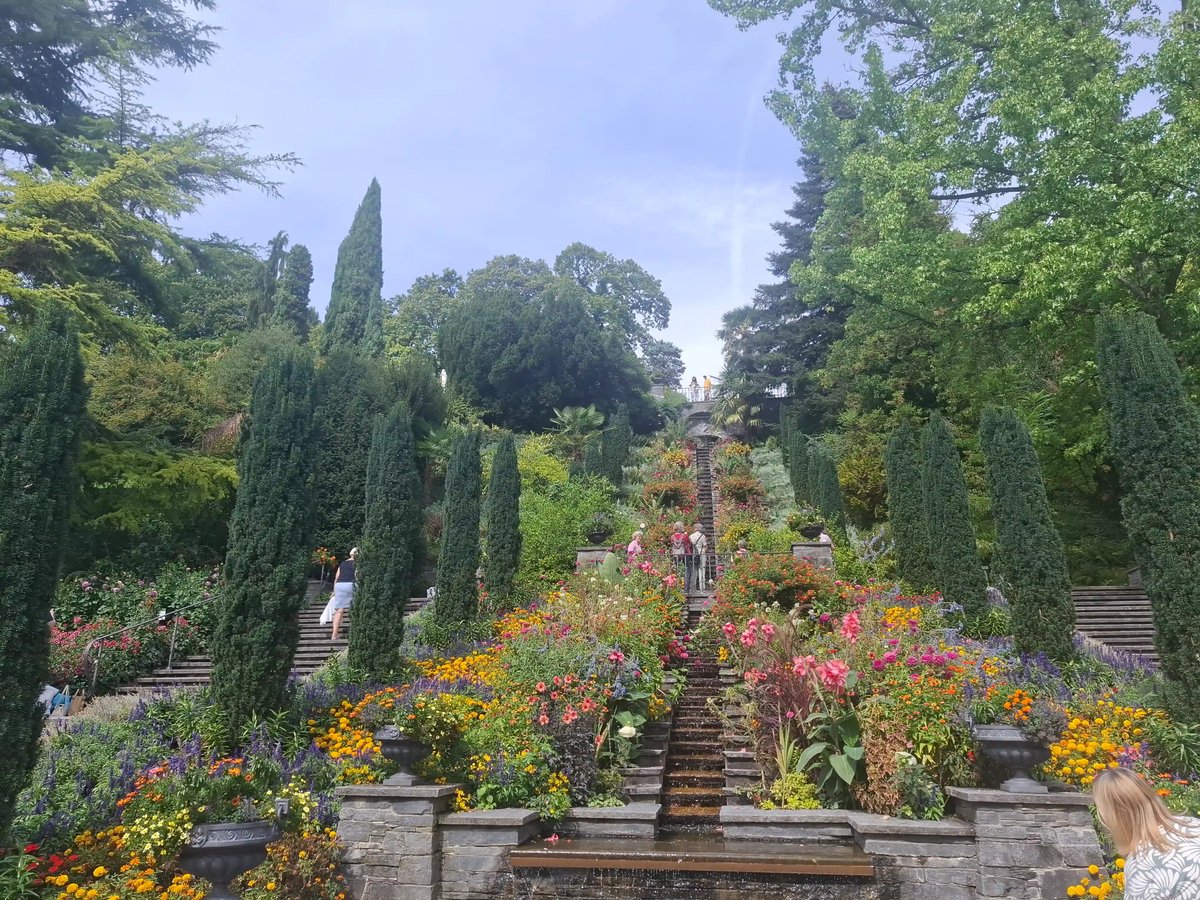 Jardin de Mainau avec des escaliers en pierre, des massifs de fleurs multicolores et de grands arbres