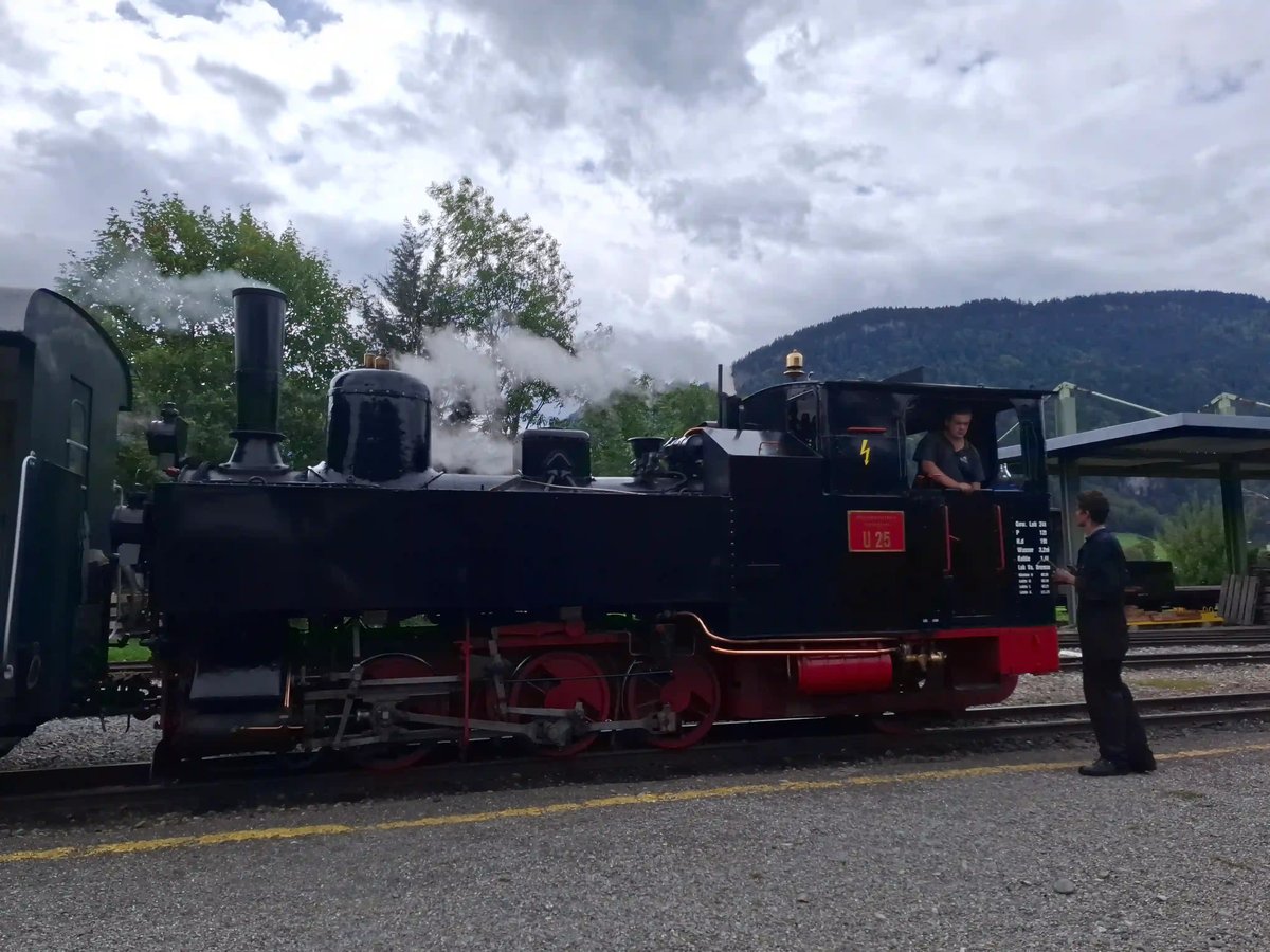 Locomotive à vapeur historique noire et rouge à l'arrêt devant un paysage montagneux