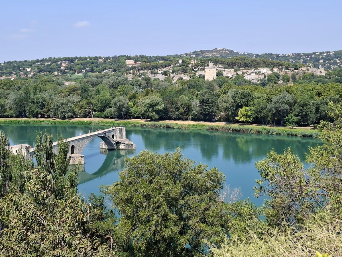 Pont d'Avignon in grüner Landschaft.