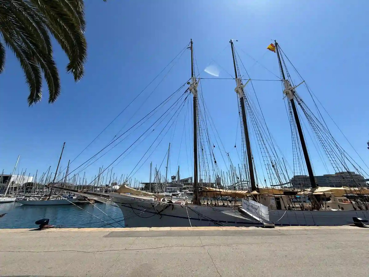 Segelschiffe mit hohen Masten in einem sonnigen Hafen unter blauem Himmel.