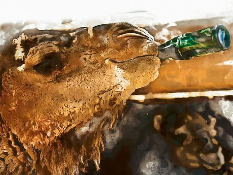 Remorquage à deux bosses