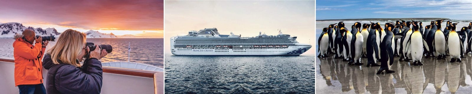 lang-sudamerika-wunder-der-antarktis-cruisehit-41110-min
