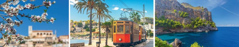 Mandelblüte auf Mallorca mit Daniel Rozanski