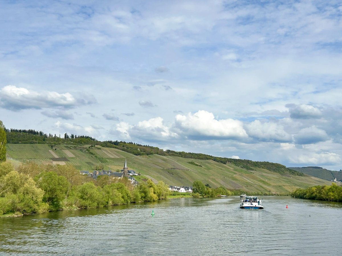 mosel5