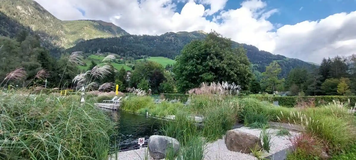 Jardin naturel avec des herbes hautes, des fleurs sauvages et une vue sur les montagnes verdoyantes