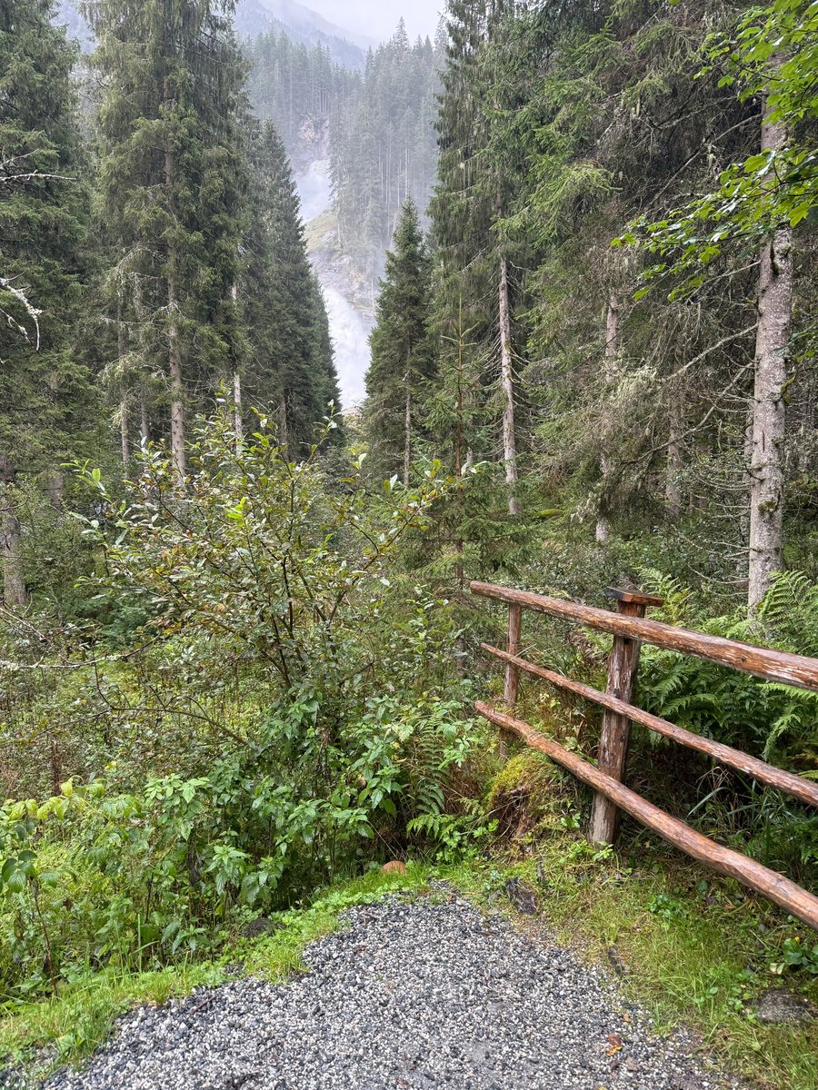 Sentier de randonnée bordé d'une rambarde en bois traversant une forêt verdoyante