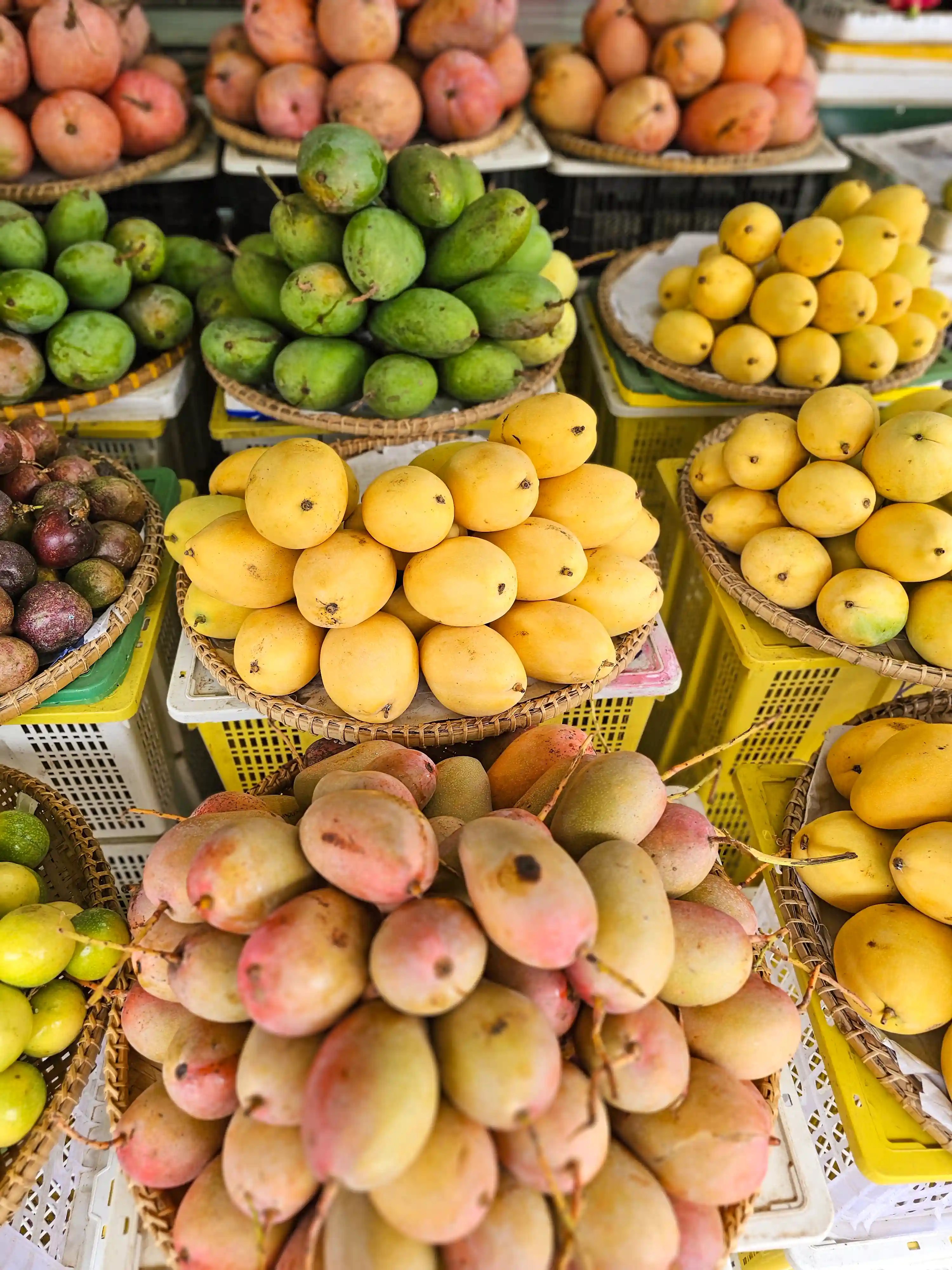 rb-asien-kreuzfahrt-feb26-markt