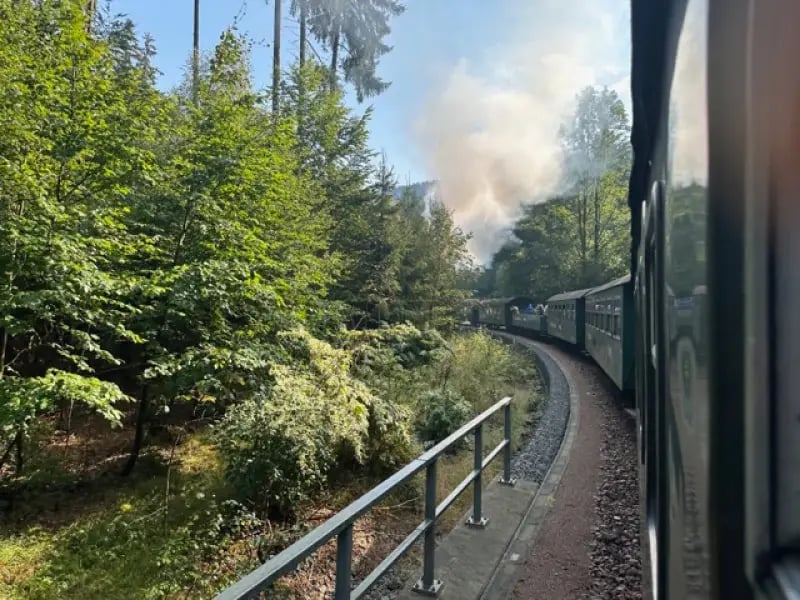Zug fährt durch bewaldete Landschaft auf gebogener Strecke, Rauch steigt vor den Waggons auf