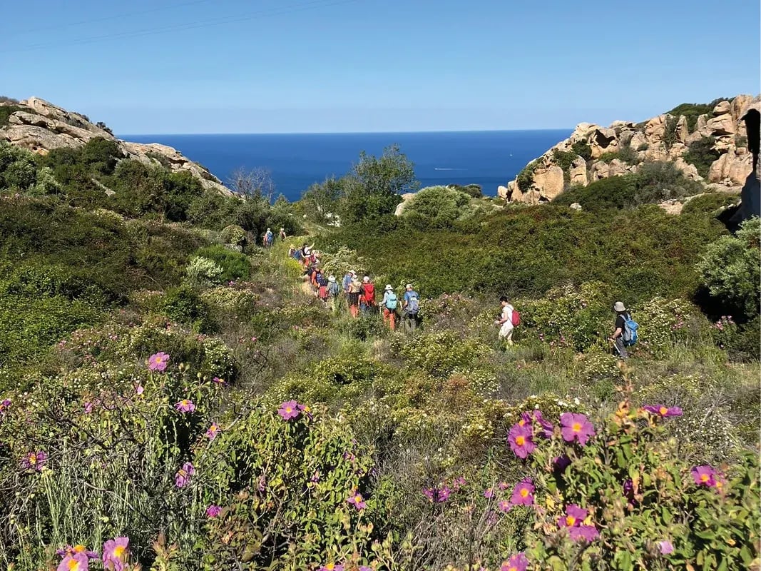 Wandergruppe auf schmalem Pfad durch grüne Küstenlandschaft mit Felsen und Meer im Hintergrund