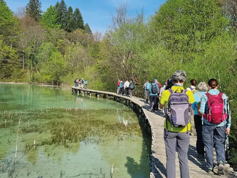 Wandergruppe auf Holzsteg durch klares Wasser und gruenen Wald