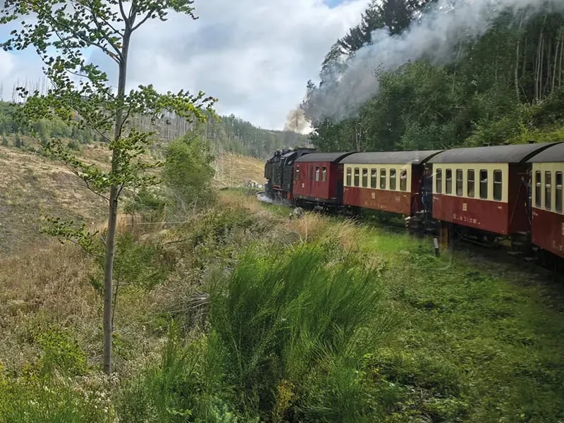 Dampflok mit roten Waggons fährt durch grüne Landschaft mit Wald und Rauch
