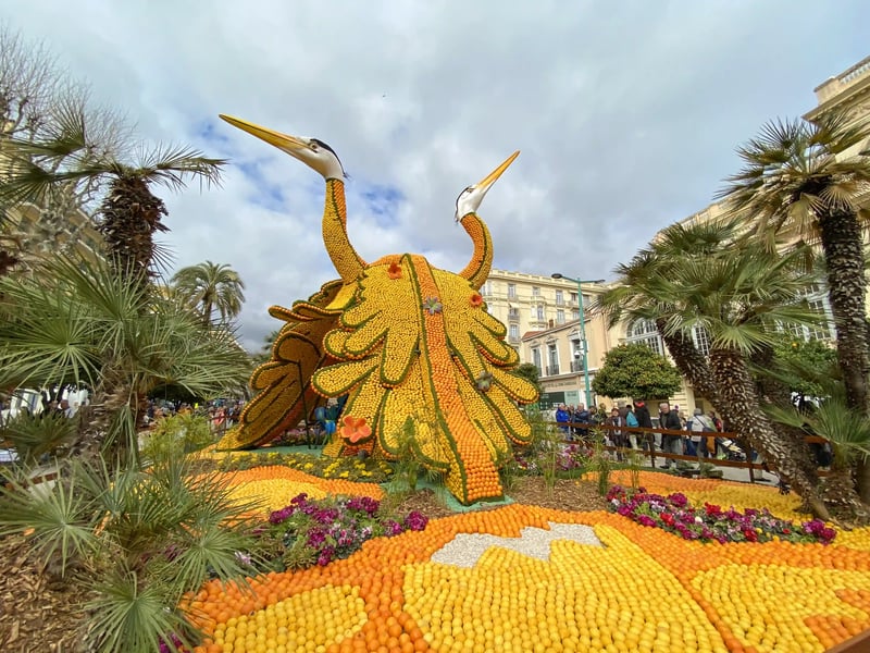 Eine grosse Skulptur zweier Reiher, kunstvoll gestaltet aus tausenden Zitronen und Orangen, ausgestellt in einem Park während des Zitronenfests in Menton.