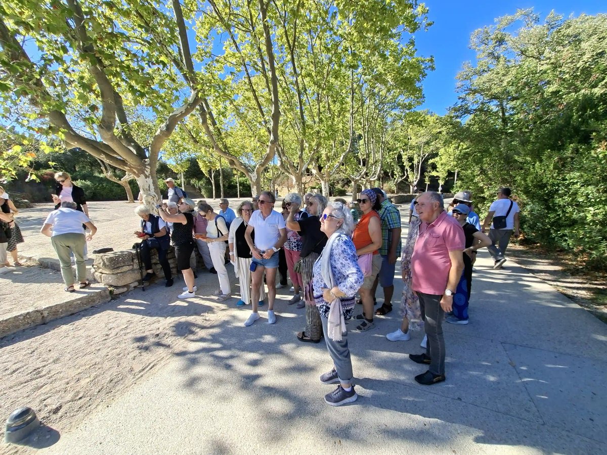 Reisegruppe bei einer gemeinsamen Besichtigung in der Provence unter schattigen Platanen.