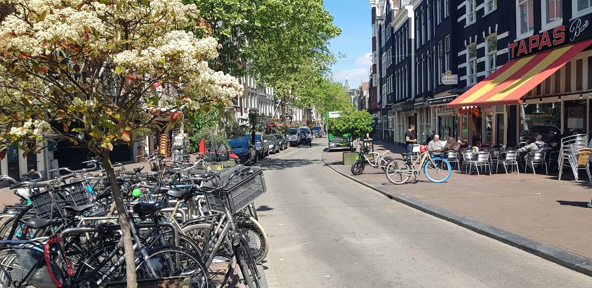 rb_amsterdam-tulpen-2026-10