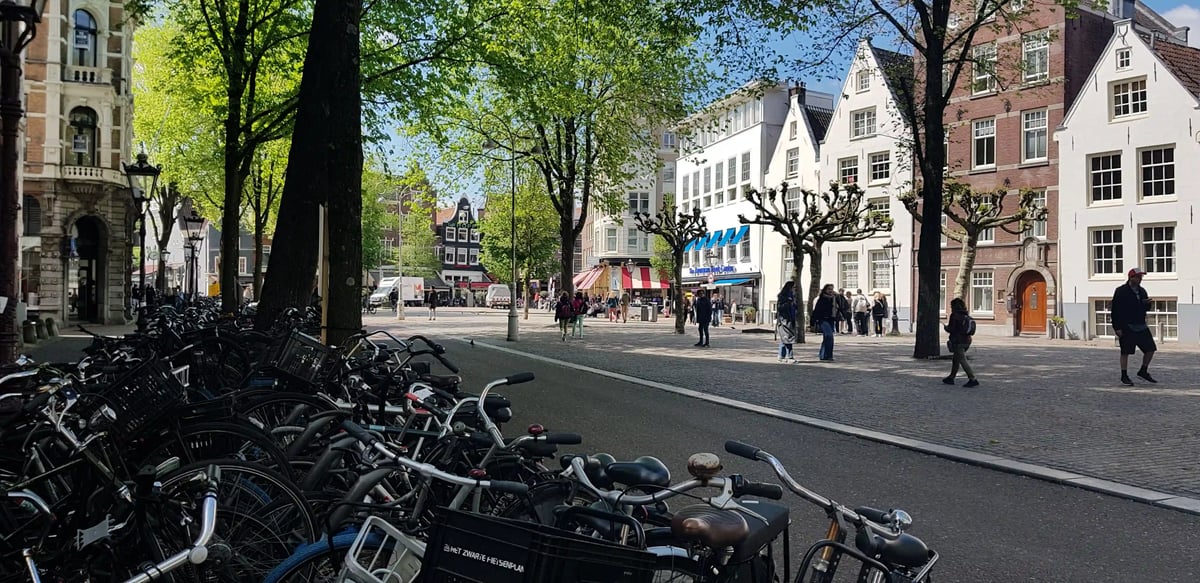 rb_amsterdam-tulpen-2026-14