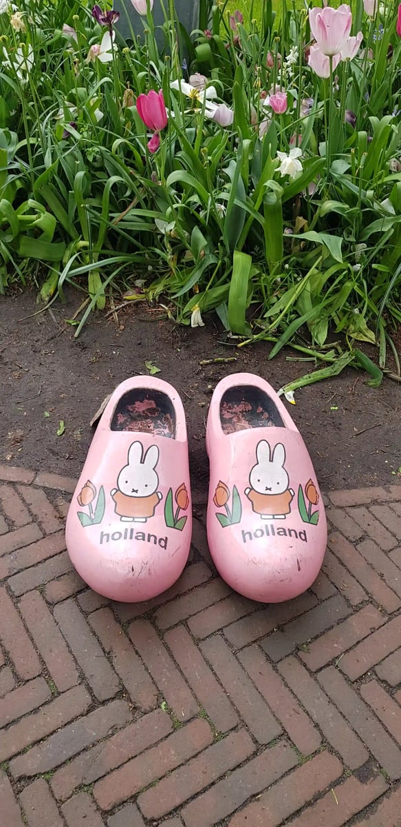 rb_amsterdam-tulpen-2026-47