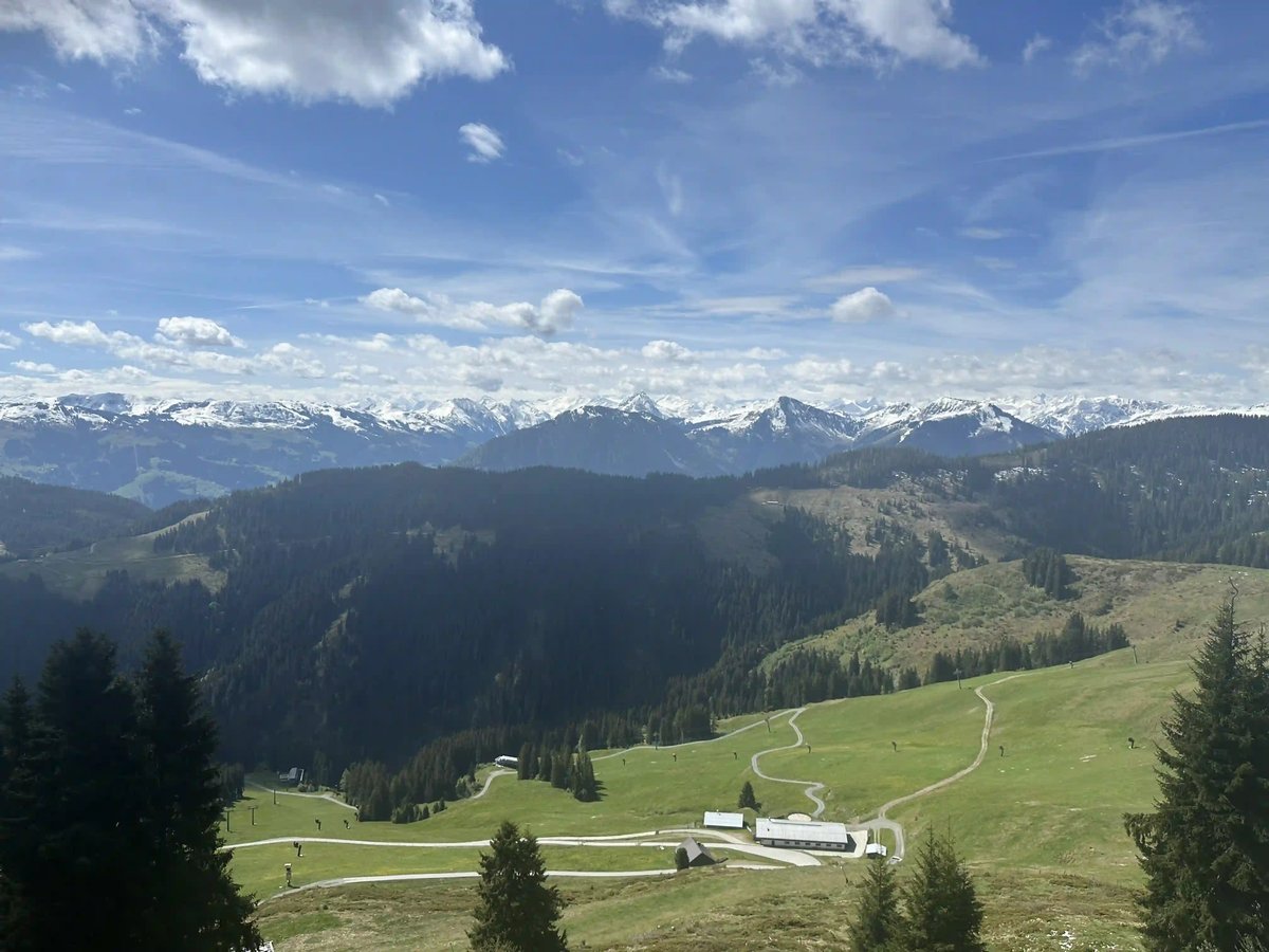 Weite Aussicht über grüne Alpwiesen und schneebedeckte Berggipfel unter blauem Himmel.