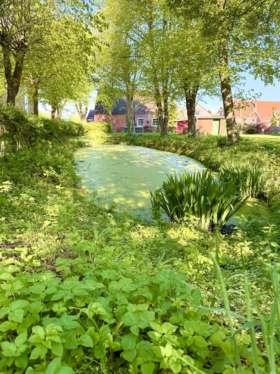 rb_ostfriesland-amsterdam-ordner2-2026-24