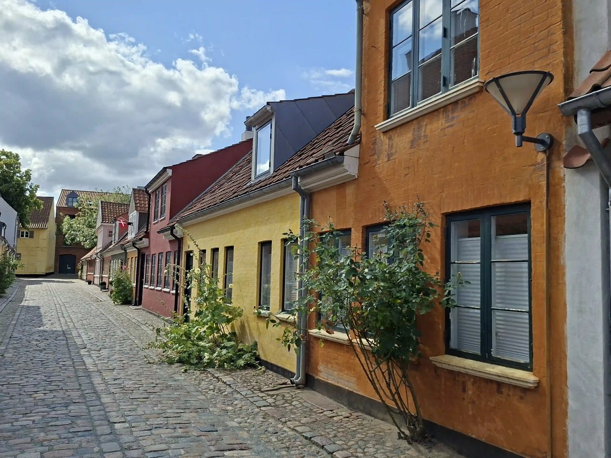 Kopfsteinpflastergasse mit farbenfrohen historischen Häusern in Dänemark