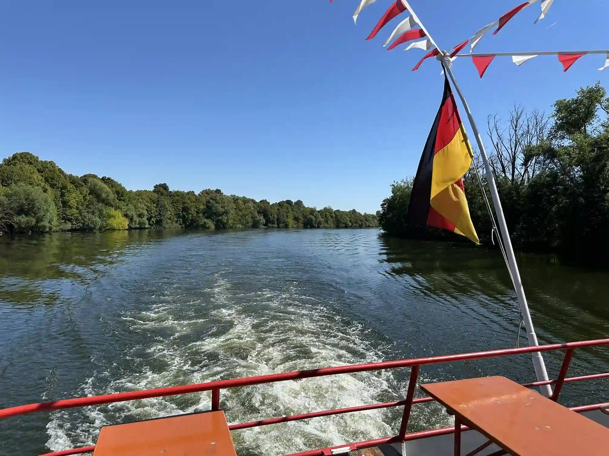 Blick vom Ausflugsschiff auf den Main mit bewaldeten Ufern und deutscher Flagge.