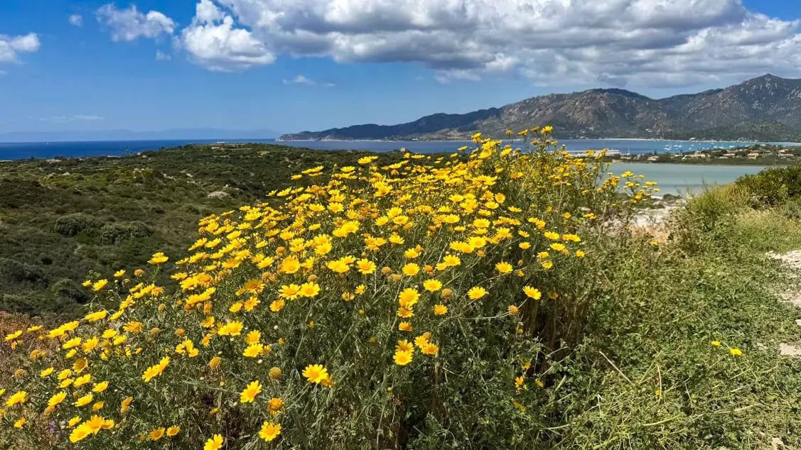 rb_sardinien-mit-stil-2026-21