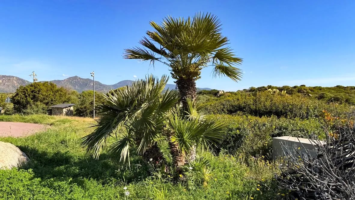 rb_sardinien-mit-stil-2026-8