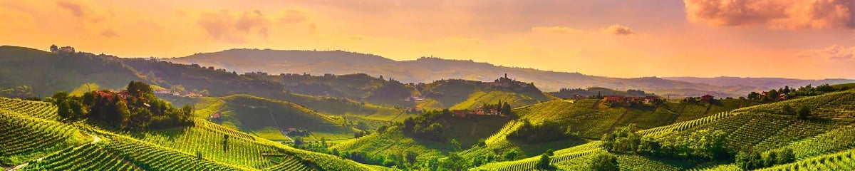 De l'Oberland bernois à la Méditerranée avec Oskar Schwaller