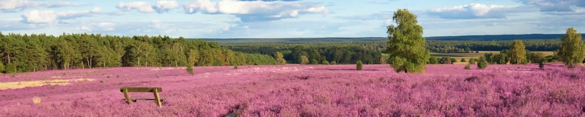 Blühende Heide & Nordseeluft mit Corinne Graber