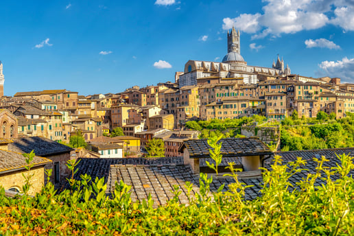 popup-aktionen-und-preiskracher