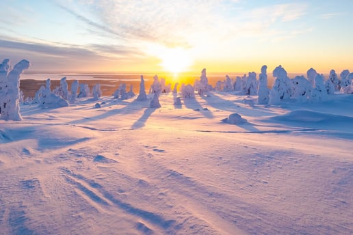 popup-silvester-und-winterreisen