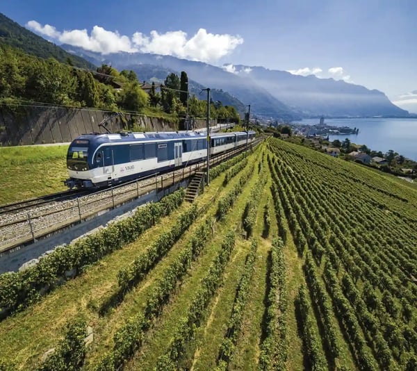 Panoramazug fährt durch Weinberge mit Blick auf See, Berge und Ortschaften