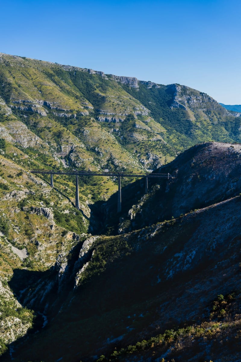 Hoher Eisenbahnviadukt überspannt ein tiefes, bewaldetes Tal in den Bergen Montenegros