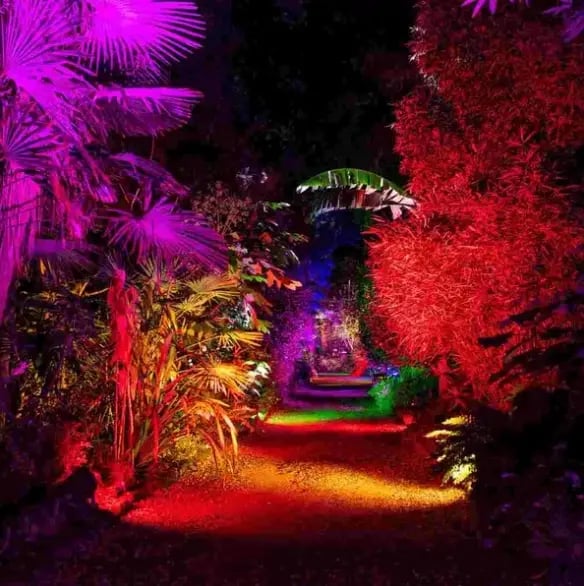 Beleuchteter Gartenweg in Abbotsbury mit bunten Lichtern exotischen Pflanzen und stimmungsvoller Nachtatmosphäre