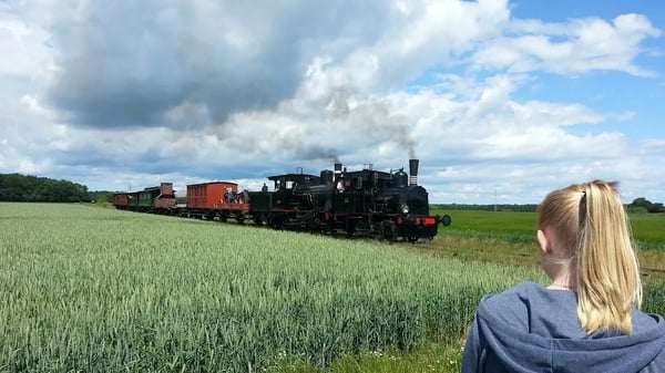 Historischer Dampfzug fährt durch weite grüne Landschaft während eine Person den Zug vom Feldrand beobachtet