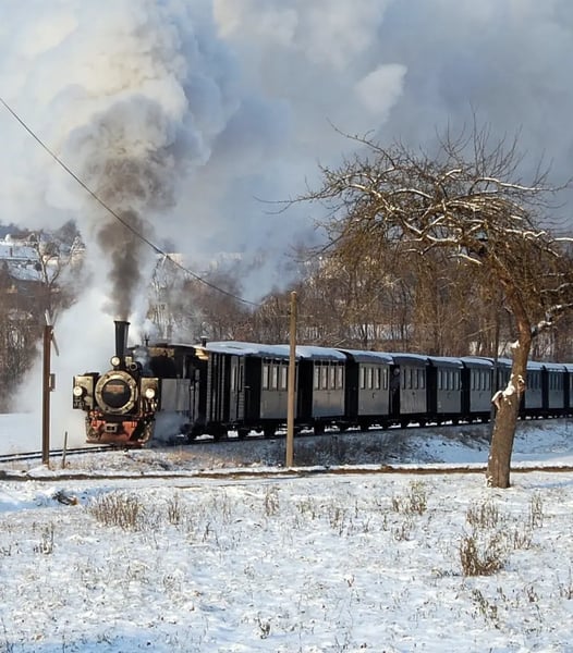 Historische Dampflok fährt durch verschneite Landschaft und stösst dunklen Rauch vor kahlen Bäumen aus.