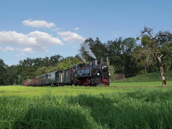 Historische Dampflok zieht Waggons durch grüne Talsenke neben Fluss, Berge und Wald im Hintergrund