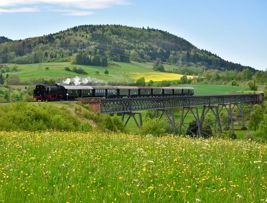 Historischer Dampfzug fährt über eine hohe Eisenbahnbrücke durch eine blütenreiche Wiesenlandschaft mit bewaldeten Huegeln im Hintergrund