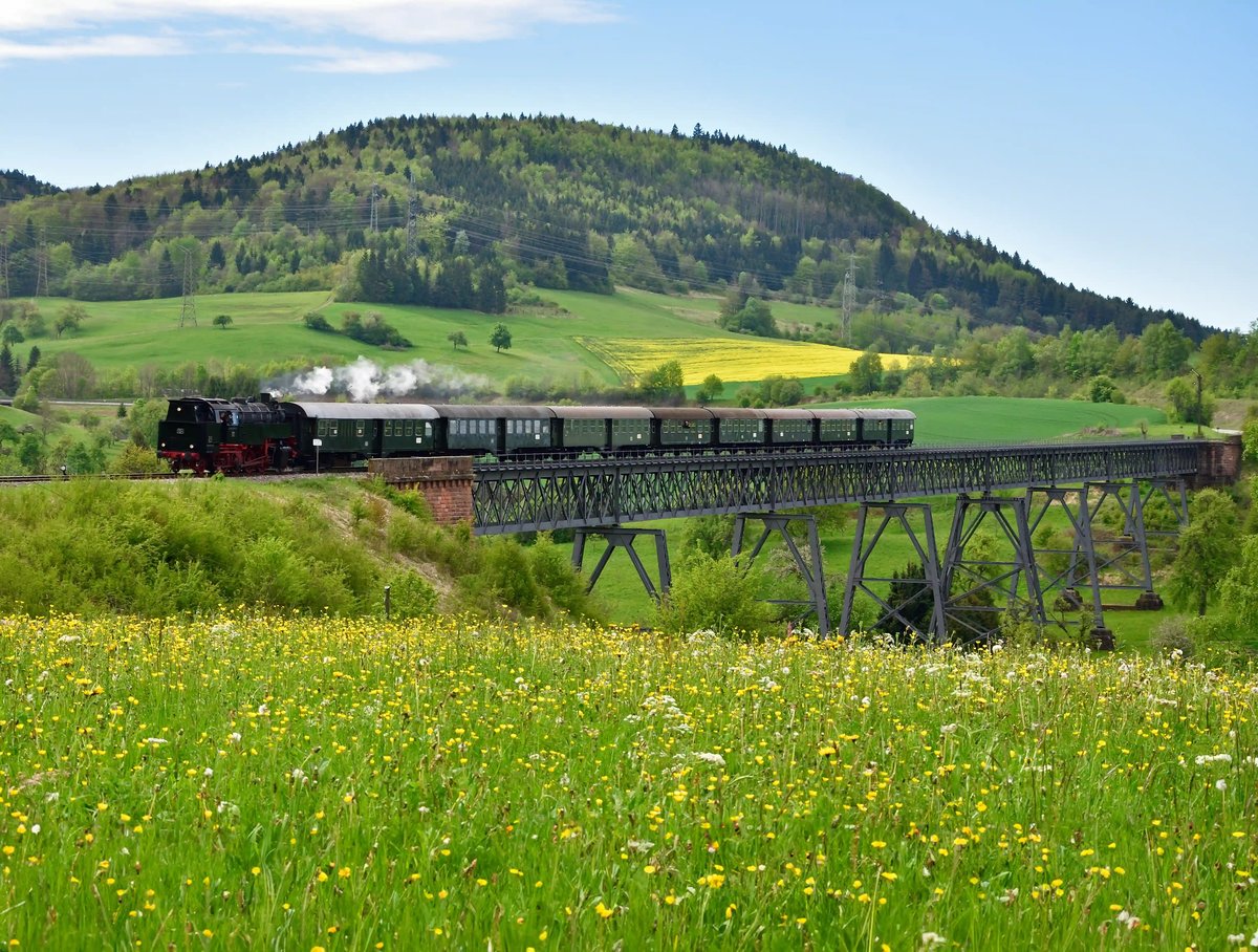 Historischer Dampfzug fährt über eine hohe Eisenbahnbrücke durch eine blütenreiche Wiesenlandschaft mit bewaldeten Huegeln im Hintergrund