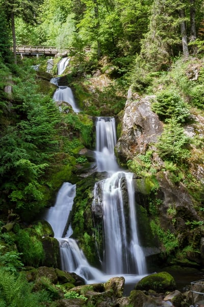 Mehrstufiger Wasserfall stürzt durch einen dicht bewaldeten Wald über moosbedeckte Felsen in ein klares Becken