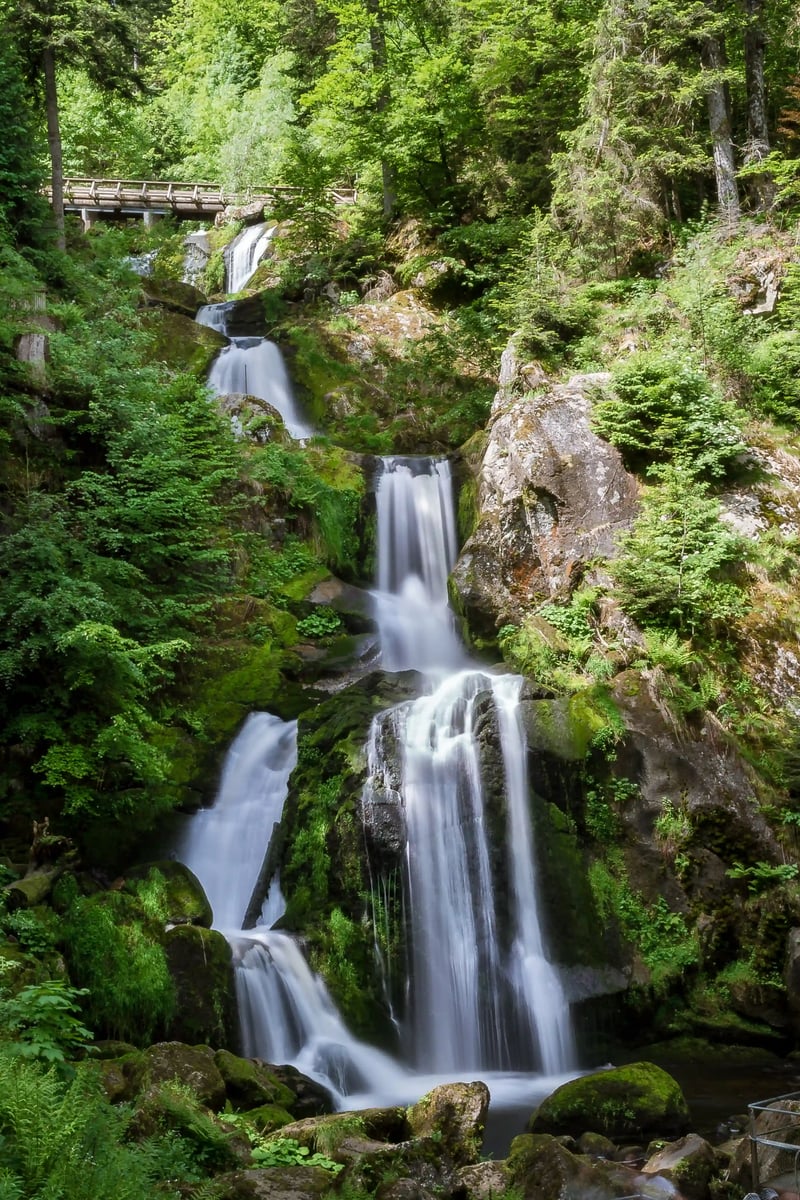 Cascade a plusieurs niveaux coulant a travers une foret dense sur des rochers moussus vers un bassin clair