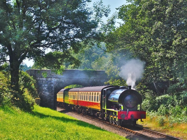 Dampfzug fährt durch grünen Wald unter einer Steinbrücke, Rauch steigt über den Waggons auf