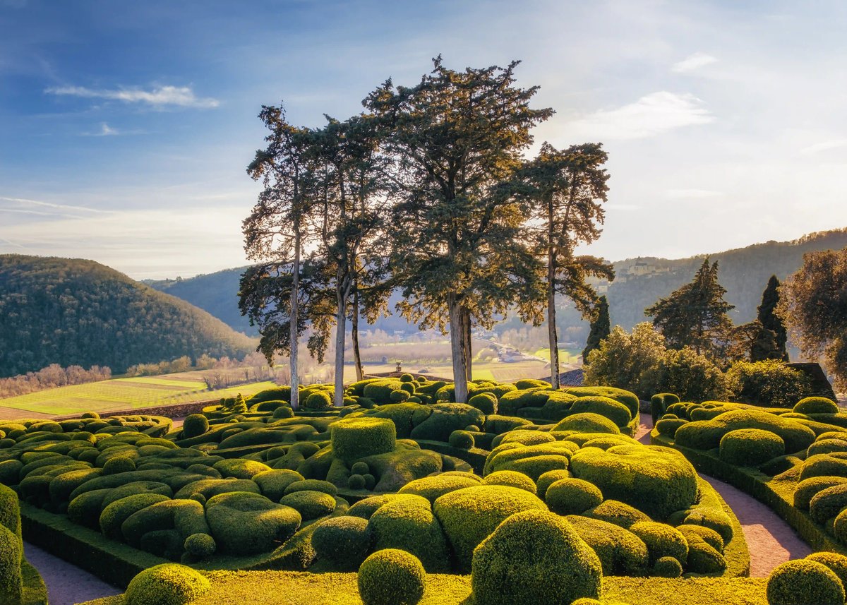Jardins de topiaires et grands arbres baignés de lumiere doree, collines et champs en arriere-plan